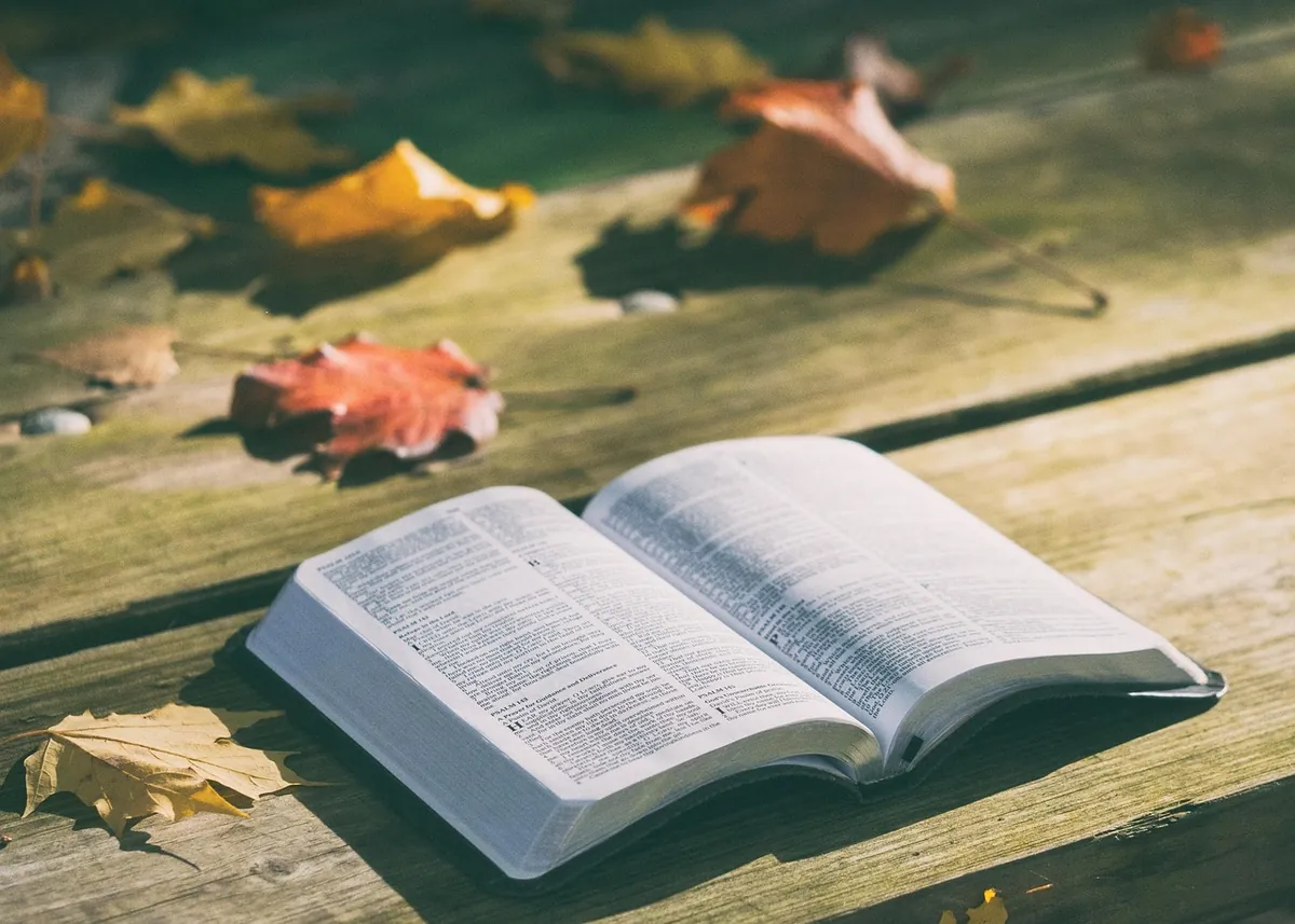 Open Bible resting on a wooden surface outdoors